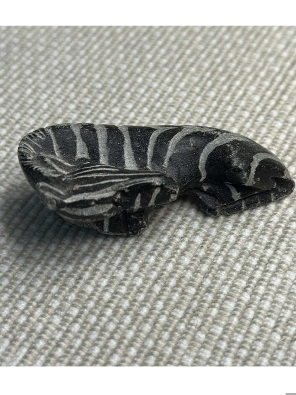 Soapstone Zebra for my Mom. Thank you! @nctalkofthetown!